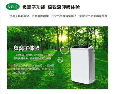 斯特亨C9-A 智能守護，凈享深呼吸——您家居空氣的健康管家